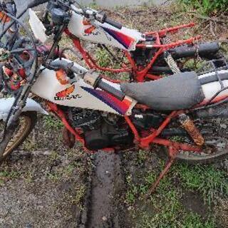 家具 5月1日まで掲載 ホンダ TLM50 AD07 トライアル 実働未確認 