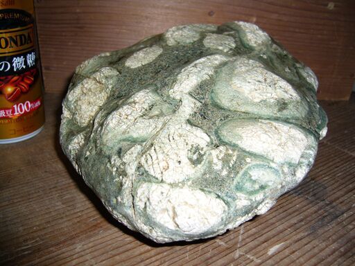 超希少・名品四万十青子持ち石