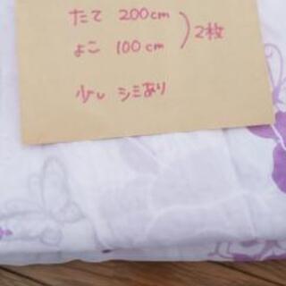 薔薇 蝶 レースカーテン② 200×100
