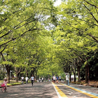 駒沢公園で一緒に朝活しませんか？😆