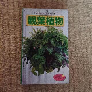 観葉植物の本