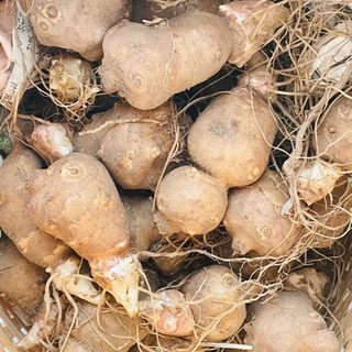 中古種芋が無料 格安で買える ジモティー