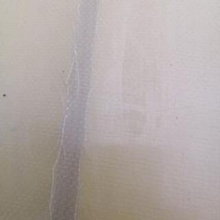 ダノ　サーフボード