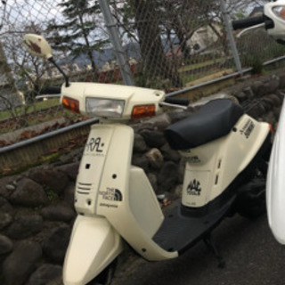 ヤマハ ミント 50 1YU スクーター Yamaha Mint