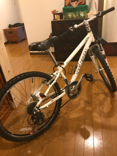 ルイガノ　ジュニア　自転車