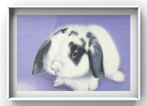 無償でモデルさんになっていただけるペットを募集しています モフモフ絵描き 横浜のペット用品の無料広告 無料掲載の掲示板 ジモティー