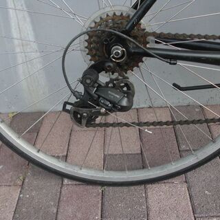 Raychell+ R+713 GolDragon (レイチェルプラス)（ゴールドラゴン