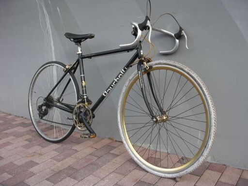 Raychell+ R+713 GolDragon