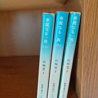 (最終処分)小説　一冊50円