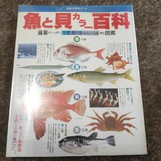 魚と貝カラー 百科