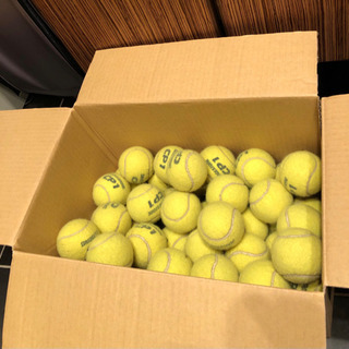 テニスボール  1箱