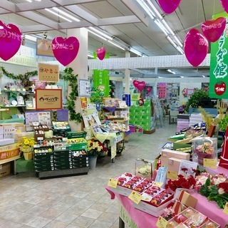 ギフトのサラダ館 矢掛店 店舗スタッフ 店舗は矢掛 井原市 総社市 倉敷羽島 吉備津にあります 勤務店舗選択可能 各種手当 福利厚生充 福本屋 矢掛の販売の正社員の求人情報 株式会社福本屋衣料センター ジモティー