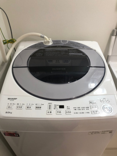 2021年製　シャープ　ES-GV8E-S　全自動洗濯機(洗濯8kg)