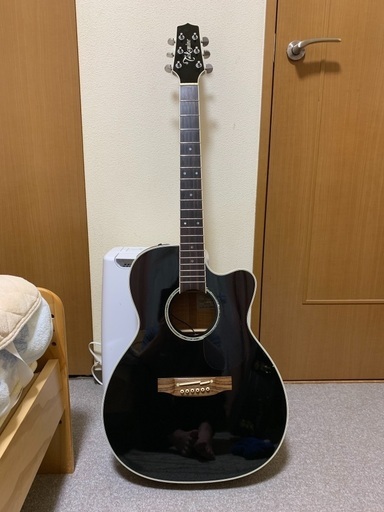 タカミネ Takamine DMP751C CYS エレアコ ギター www.krzysztofbialy.com