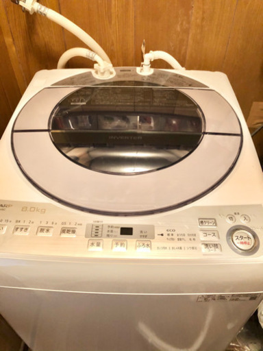 2019年製　全自動洗濯機　8.0kg