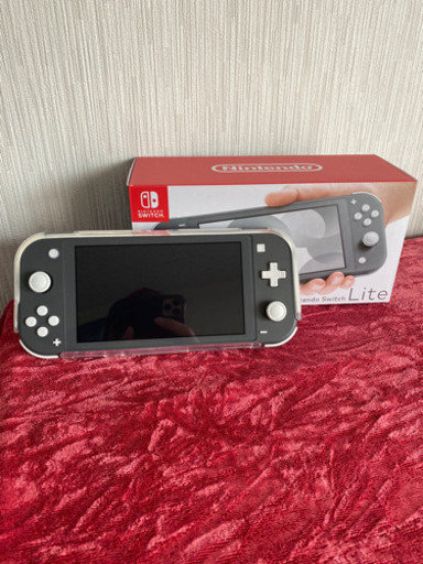 その他 Switch light