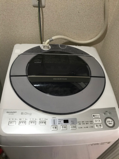 新発売 SHARP 洗濯機 8kg 洗濯機