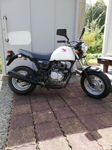 ホンダエイプ100　引き取り限定