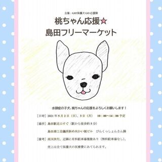 島田でフリマ！　保護犬のための医療費応援フリマ　「GO！保護犬GO」　