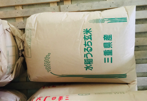 完売しました。令和元年　コシヒカリ　玄米30kg  米
