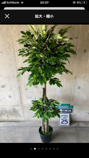 人工観葉植物　ベンジャミン