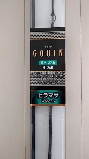 ダイワGOUIN(ゴウイン)落とし込みM-245