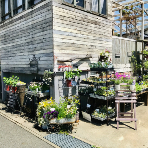 寄せ植え プランツギャザリングレッスン Komuro 日立のその他の無料広告 無料掲載の掲示板 ジモティー