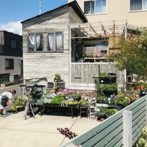 寄せ植え プランツギャザリングレッスン Komuro 日立のその他の無料広告 無料掲載の掲示板 ジモティー