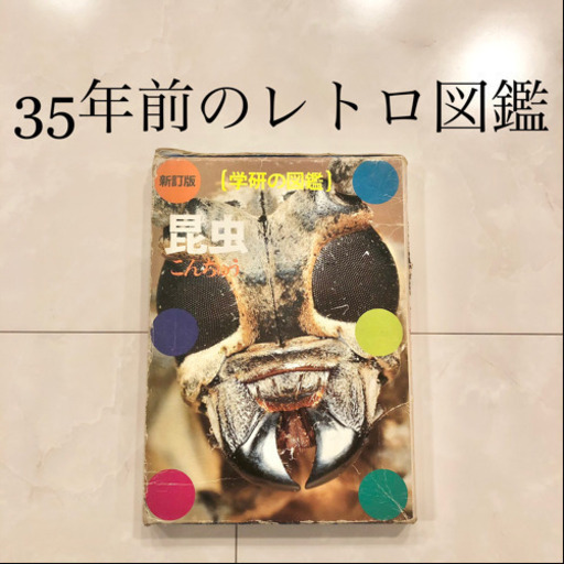 【ネット決済・配送】#5 学研の図鑑　昆虫の図鑑　レトロ　ビンテージ　コレクション　小学館の学習百貨