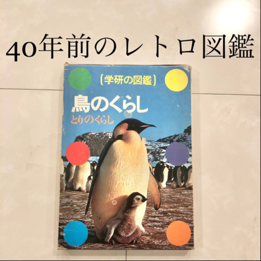 【ネット決済・配送】#8 学研の図鑑　鳥のくらし　レトロ　ビンテージ　コレクション　小学館学習百貨