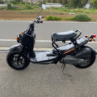 HONDA ズーマー