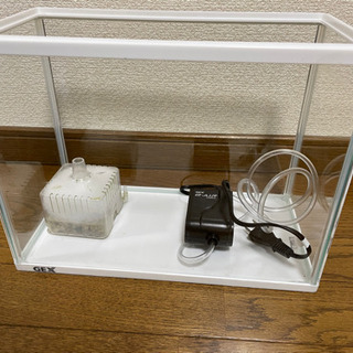 30センチ水槽　美品　お取引中