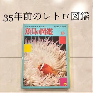 【ネット決済・配送可】#12　小学館の学習百貨図鑑　魚貝の図鑑　...