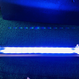 輝くような光★ゼンスイ LED PLUS シャイニングブルー 45cm
