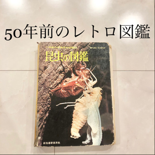 【ネット決済・配送】#15　小学館の学習百貨図鑑　昆虫の図鑑　レトロ　ビンテージ　コレクション　学研