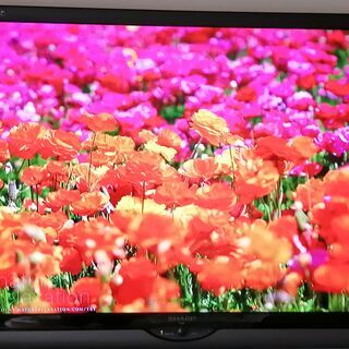大型テレビ　アクオス　LC-52SE1（５２インチ）