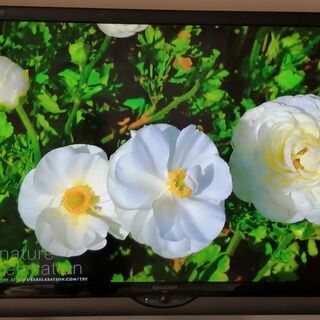 ジャンク】SHARP LC-52DX1 52インチ｜テレビ