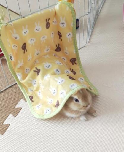 チモシー一番刈りファーストクラスの食べる牧草6袋うさぎの牧草 マリオマリオ 屋代のその他の中古あげます 譲ります ジモティーで不用品の処分