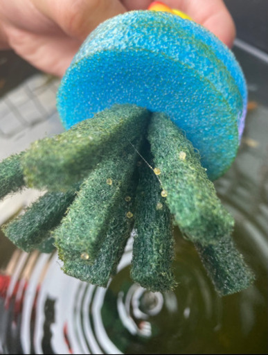 あひるのメダカ産卵床 きれいな星空 都城のその他の中古あげます 譲ります ジモティーで不用品の処分