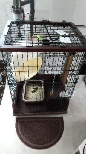 値下げします。使用期間１週間未満 猫 ペティオ キャットゲージ ペットキャリー色々セット