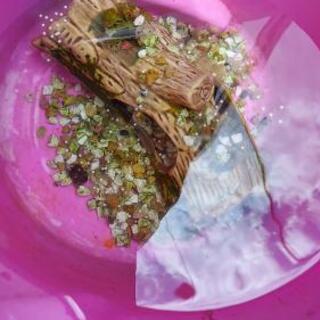 中古ウーパールーパーが無料 格安で買える 6ページ目 ジモティー