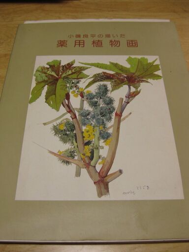 のはらのずかん野の花と虫たち 小磯良平の描いた薬用植物図 2冊セット バーバラ 西九条のその他の中古あげます 譲ります ジモティーで不用品の処分 のはらのずかん野の花と虫たち 小磯良平の描いた薬用植物図 2冊セット バーバラ 西九条のその他の中古あげます 譲ります ジモティーで不用品の処分