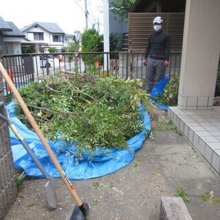 福岡、庭の防草工事、コンクリート仕上げ、白い細石、格安、便利屋、コウチャン、植木の徹去の画像