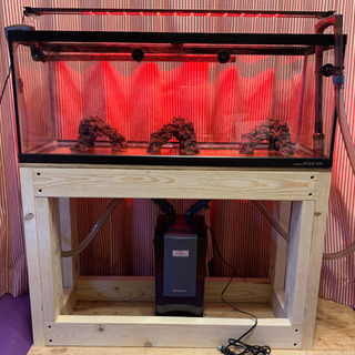 美品　90cm水槽セット　おまけつき