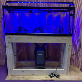 美品　90cm水槽セット　おまけつき