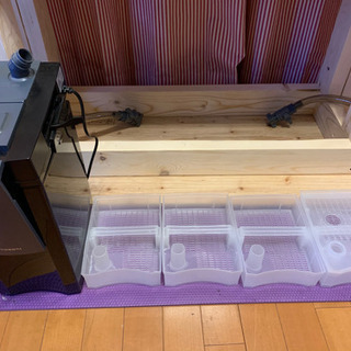 美品　90cm水槽セット　おまけつき