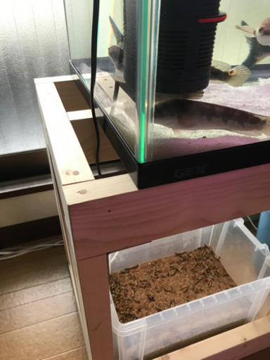 90㌢水槽　120用水槽台　その他セット