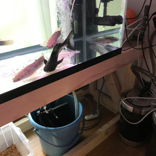 90㌢水槽　120用水槽台　その他セット