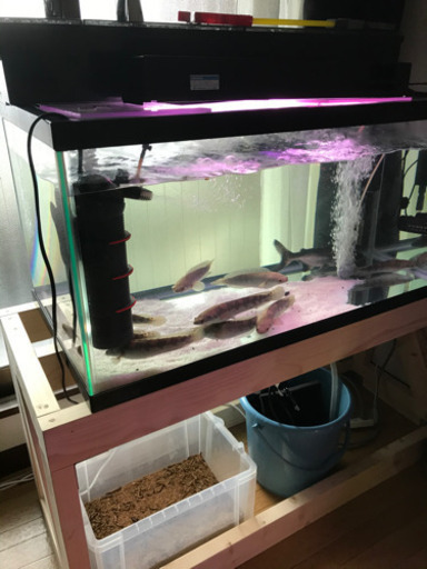 90㌢水槽 120用水槽台 その他セット - その他 