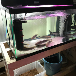 120水槽 90水槽 水槽台 セット